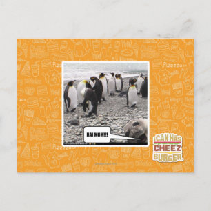 CARTE POSTALE HAI MOM ! ! !