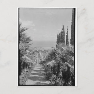 Carte Postale Haïfa - du mont Carmel, années 1920