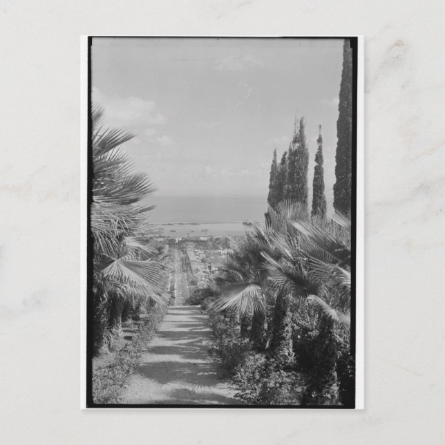 Carte Postale Haïfa - du mont Carmel, années 1920 (Devant)
