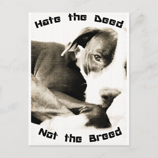 Carte Postale haïr l'acte pas la race pitbull (Devant)