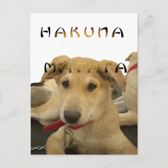 Carte Postale Hakuna Matata Je sais ce que vous pensez photo (Devant)