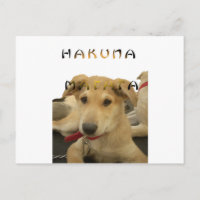 "Hakuna Matata Pup" - Insouciant Amour des chiots