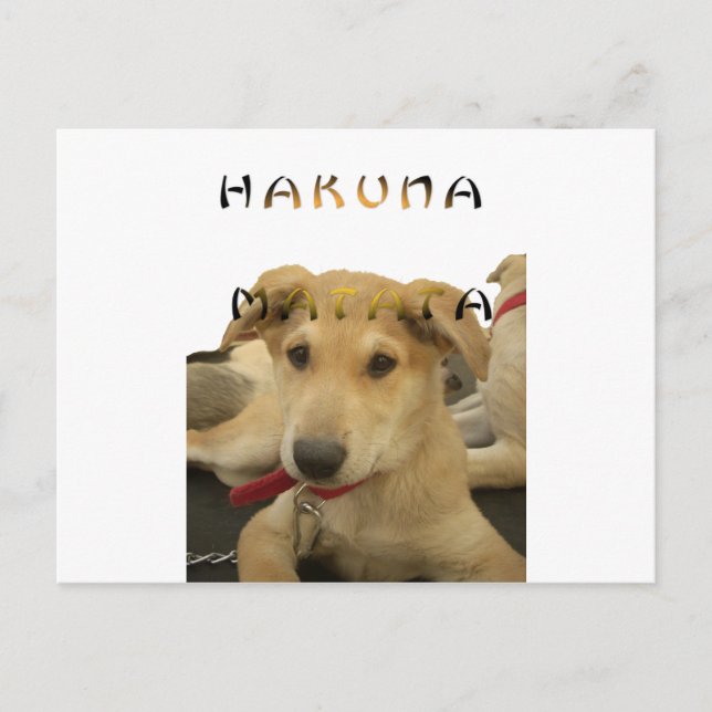 Carte Postale "Hakuna Matata Pup" - Insouciant Amour des chiots (Devant)