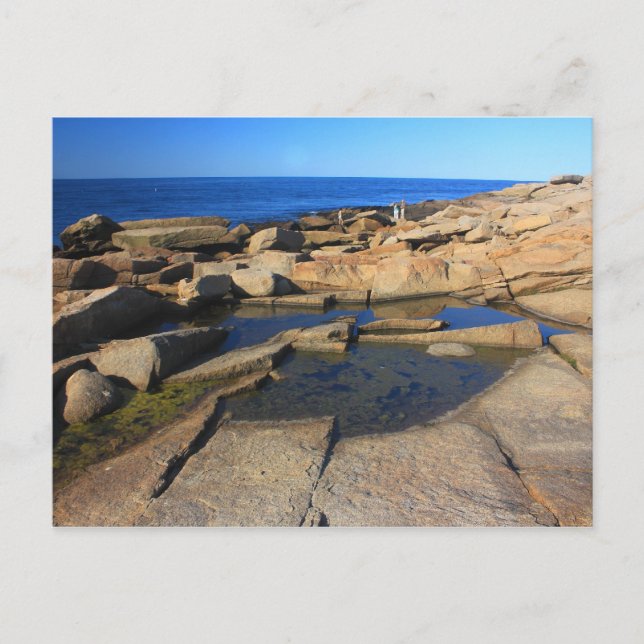 Carte Postale Halibut Point Tide Pool Rockport Cape Ann (Devant)