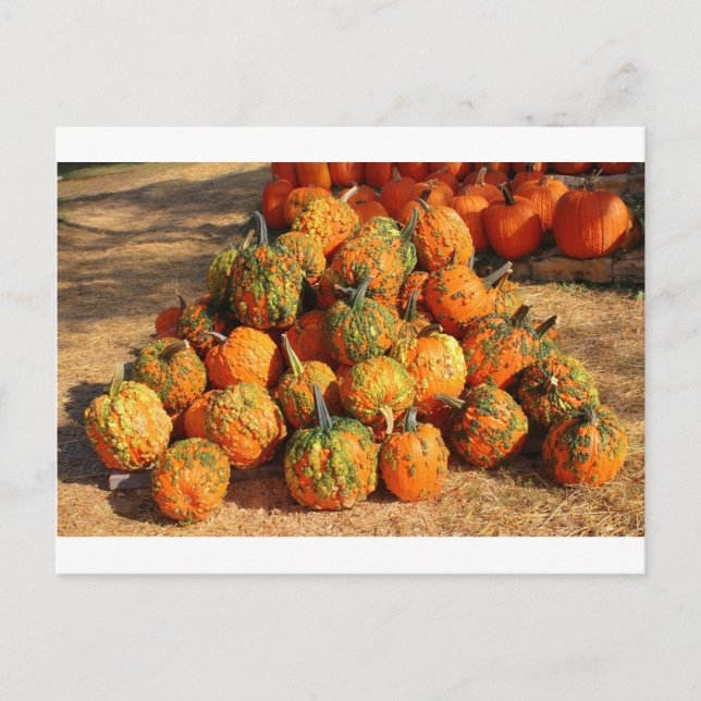 Carte Postale Halloween (Devant)