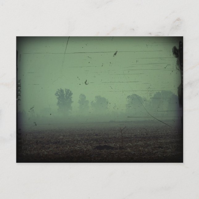 Carte postale Halloween (Devant)