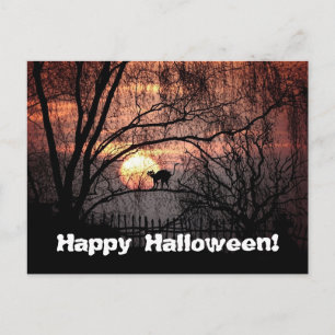 Carte Postale Halloween