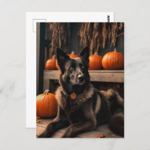 Carte Postale Halloween berger allemand
