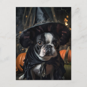 Carte postale Halloween Boston Terrier Dog