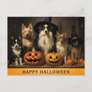 Carte Postale Halloween Chien Mignon Sorcière Citrouille