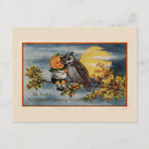 Carte Postale Halloween Citrouille Boy Owl Branche Arbre Lune Vi