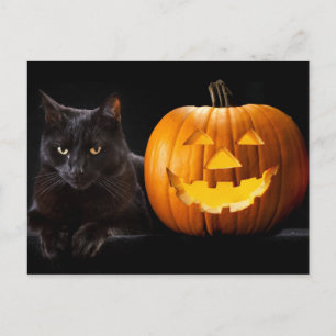 Carte Postale Halloween citrouille et chat noir