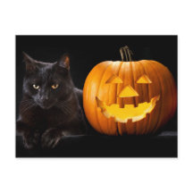 Halloween citrouille et chat noir
