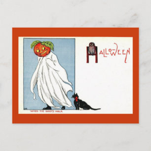 Carte Postale Halloween Citrouille Ghost Chat noir Vintage