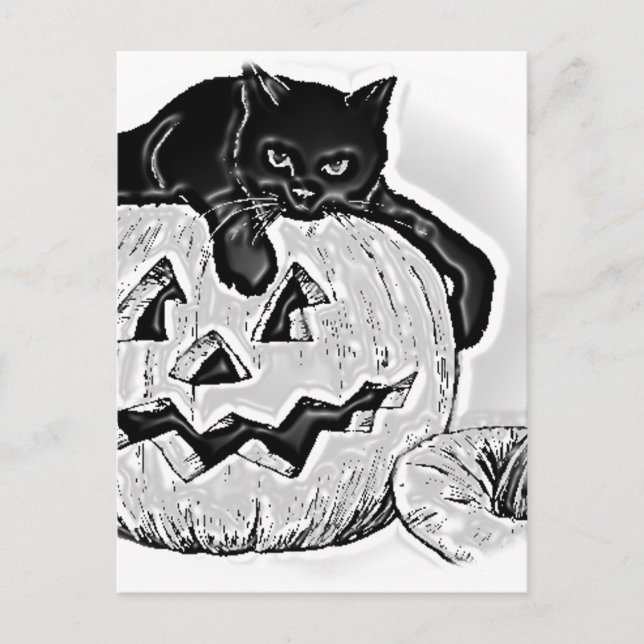 Carte Postale Halloween Citrouille orange noir chat (Devant)