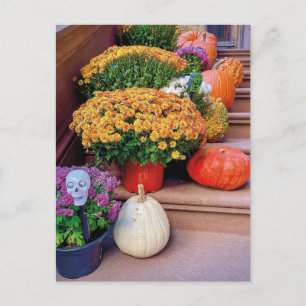 Carte Postale Halloween Citrouille Stairs New York Postcard NYC