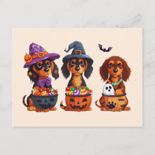 Carte Postale Halloween Dachshund Chiens Citrouille Candy Bucket
