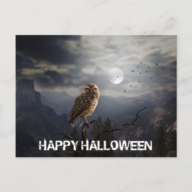Carte Postale Halloween de la Chouette éffrayante et de la Plein (Devant)