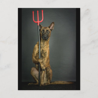Carte Postale halloween dog- devil