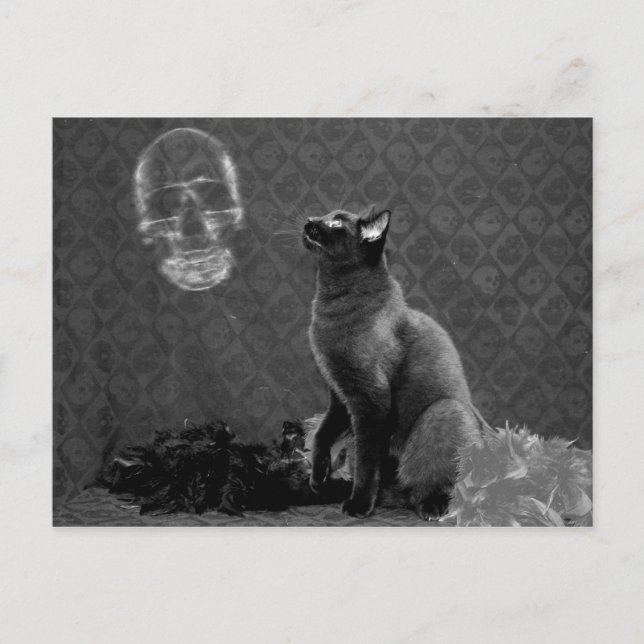 Carte Postale Halloween heureux et le fantôme (Devant)