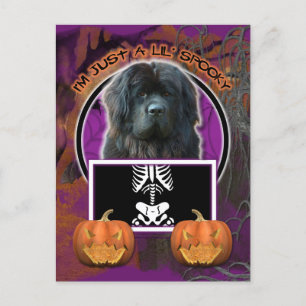Carte Postale Halloween - Just a Lil Éffrayant - Terre-Neuve