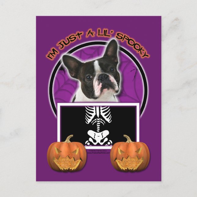 Carte Postale Halloween - Just a Lil Spooky - Boston Terrier (Devant)