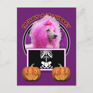 Carte Postale Halloween - Juste un Lil Éffrayant - Poodé - Rose