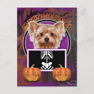 Carte Postale Halloween - Juste un Lil Éffrayant - Yorkie