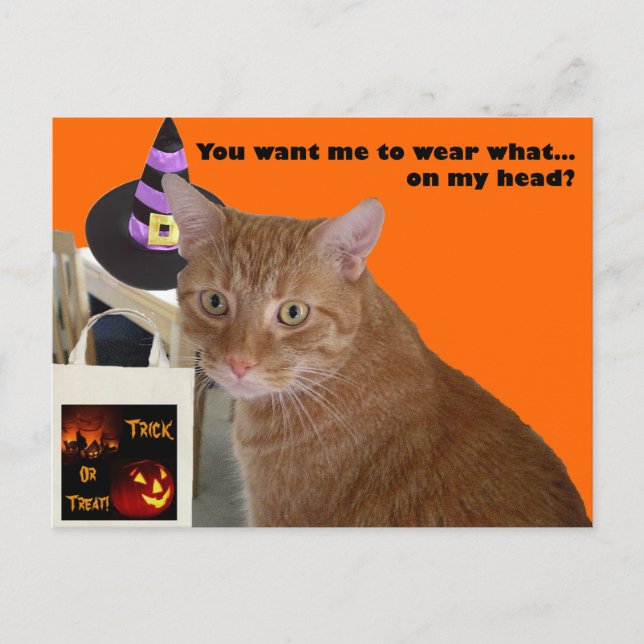 Carte Postale Halloween Kitty - Wear What (Devant)