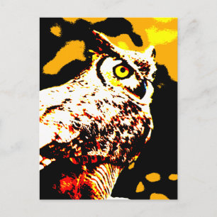Carte Postale Hallowe'en Owl
