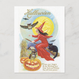 Carte Postale Halloween, sorcière et hibou