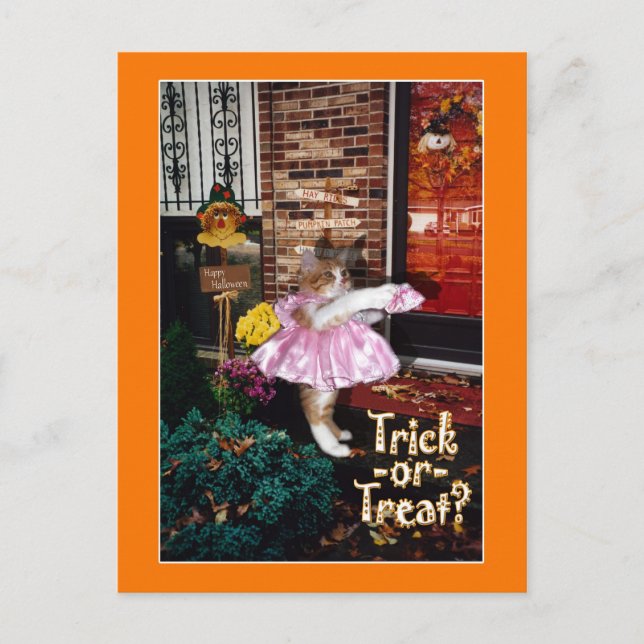 Carte postale Halloween Trick ou Treat Kitty (Devant)