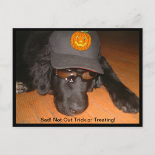 Carte Postale Halloween triste de ne pas avoir fait Trick or Tre