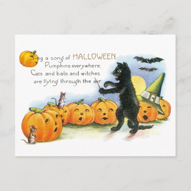 Carte Postale Halloween vintage Salutation Chat noir JackoLanter (Devant)