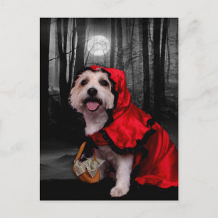 Carte Postale Halloween - Westie - Dame
