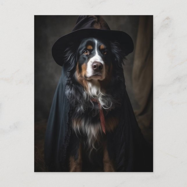 Carte postale Halloween Witch Bernese Mountain Dog (Devant)