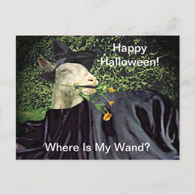 Carte Postale Halloween Wizard Goat (Devant)