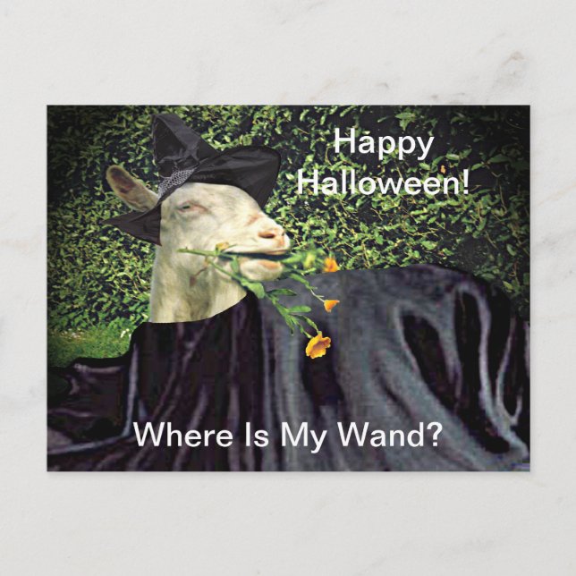 Carte Postale Halloween Wizard Goat (Devant)