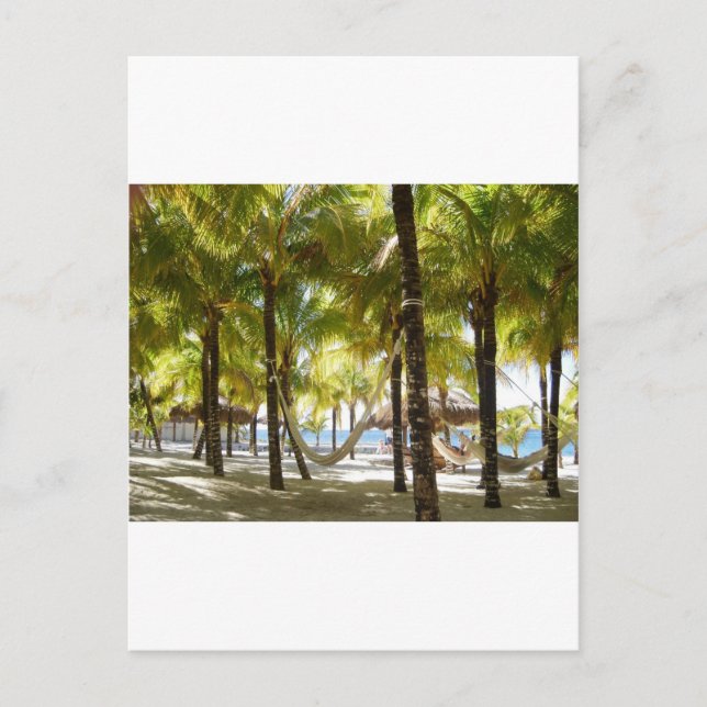 Carte Postale Hamac et palmiers (Devant)