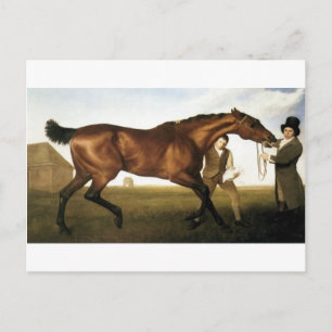 Carte Postale Hambletonian par George Stubbs
