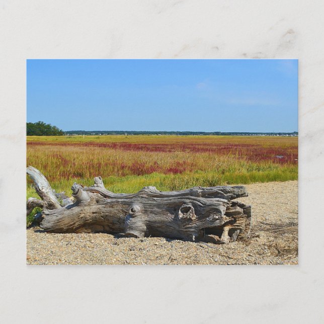 Carte postale Hammonasset (Devant)