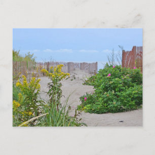 Carte postale Hammonasset Beach