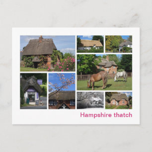 Carte Postale Hampshire thatch