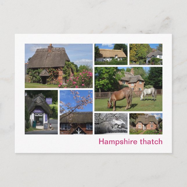 Carte Postale Hampshire thatch (Devant)