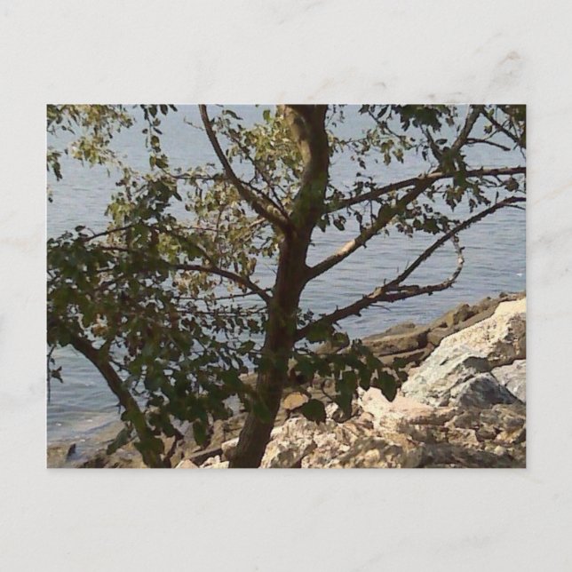 Carte Postale Hampton, VA chesapeake bay view (Devant)