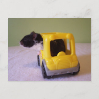 Carte postale Hamster