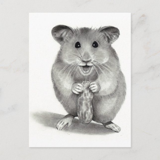 CARTE POSTALE HAMSTER AVEC PEANUT, ART PENCIL (Devant)