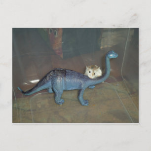 Carte Postale Hamster sur un dinosaure