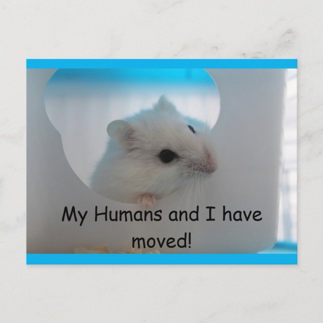 Carte postale Hamster We Moved (Devant)