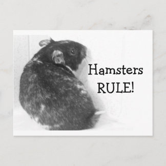 Carte Postale HamstersRÈGLENT!